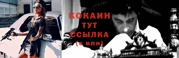 2c-b Пересвет