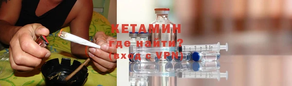 индика Осинники